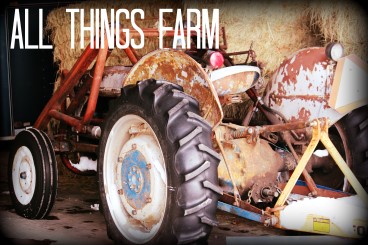 All Things Farm
